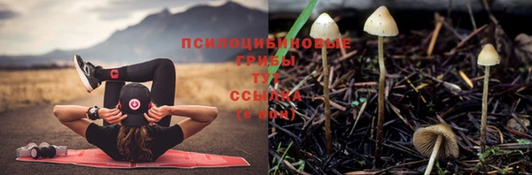 соль курить ск Алексеевка